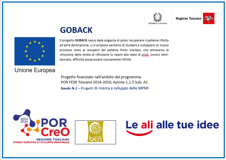 PROGETTO GOBACK