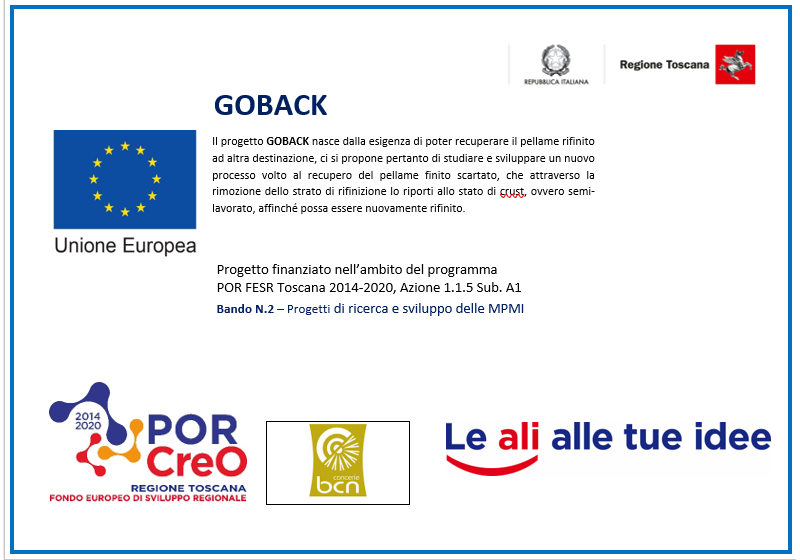 PROGETTO GOBACK