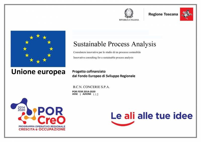 PROGETTO SUSTAINABLE PROCESS ANALYSIS