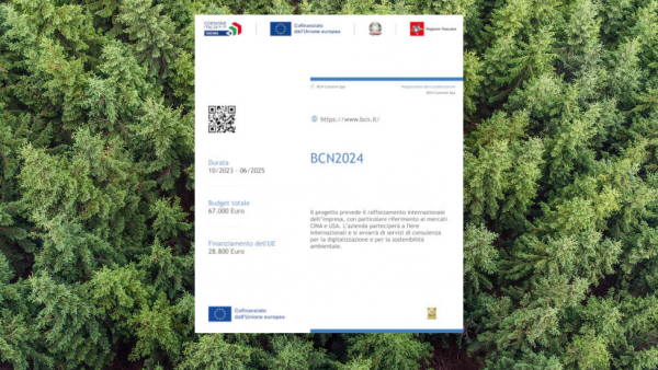 Project internationalization