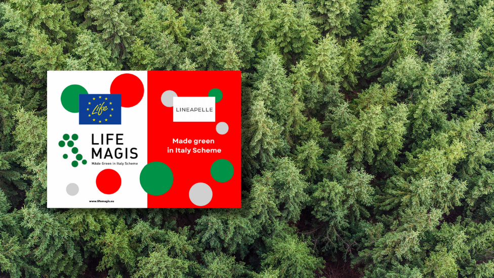 Life MAgis hero image