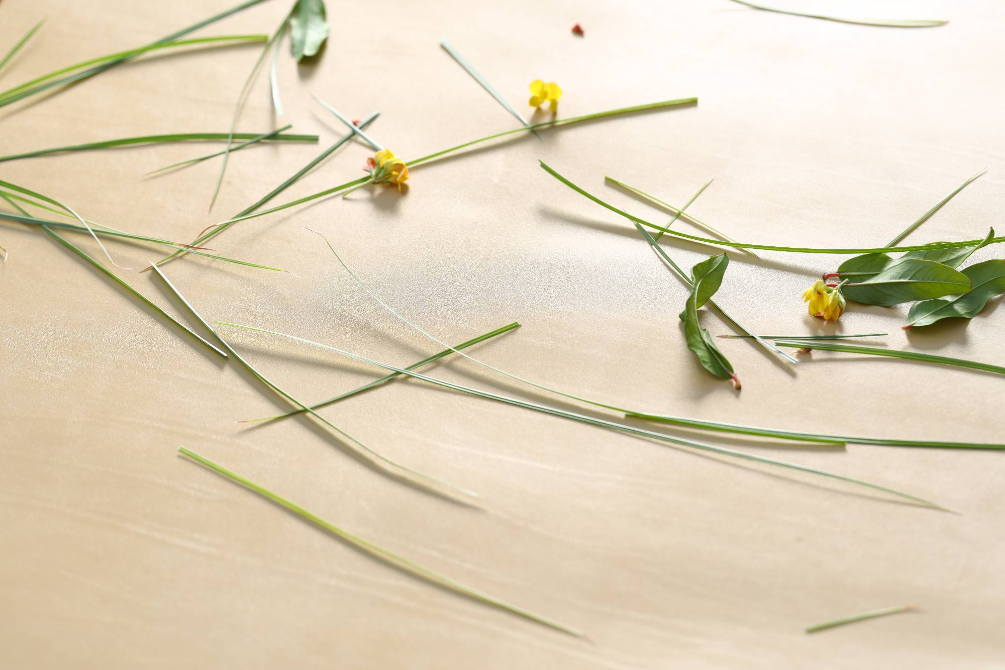 Contacts - BCN Concerie